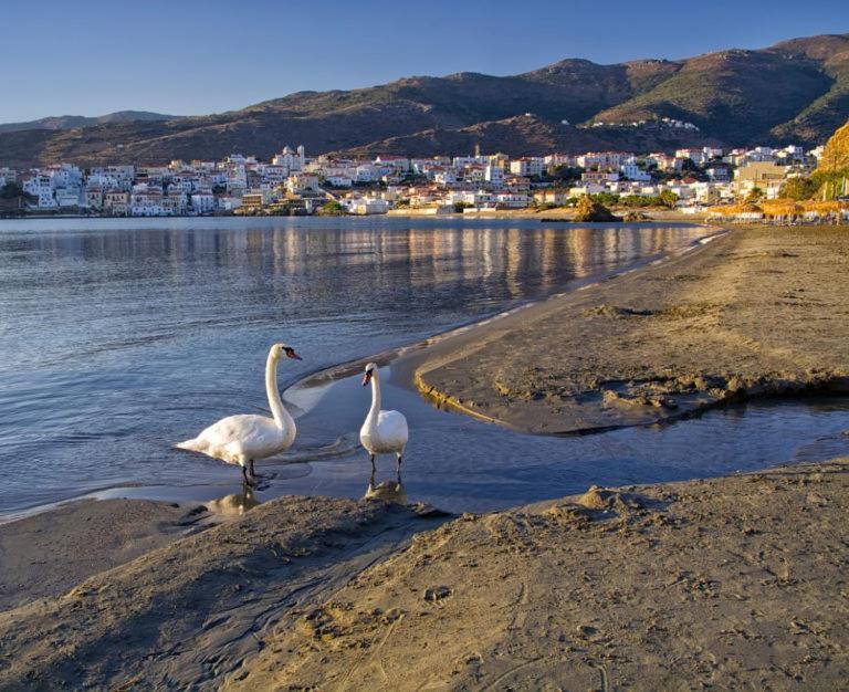 Πλατανακι 2 Seaview Apartment Ándros Dış mekan fotoğraf